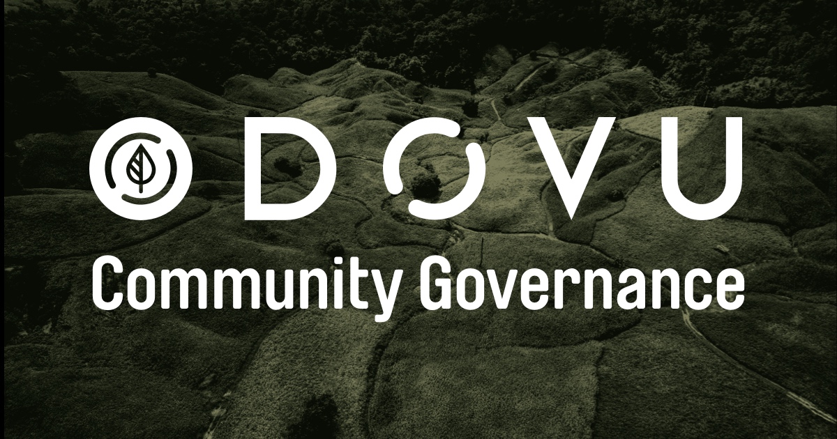 Dovu community governance
